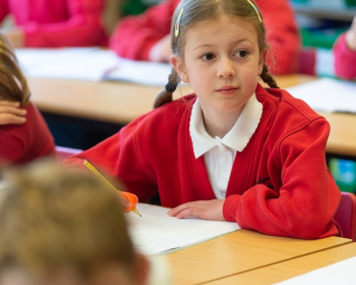 Gresham Village Primary & Nursery (38)